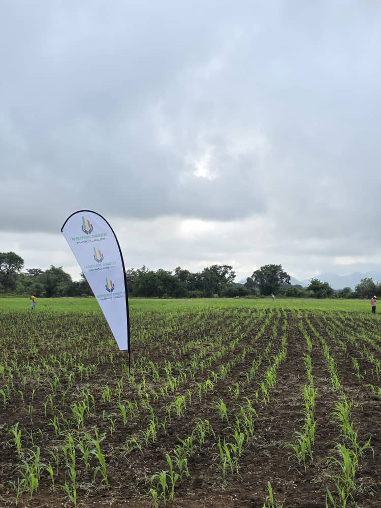 Young crop rows beside a Veterans Investment Holding Company banner